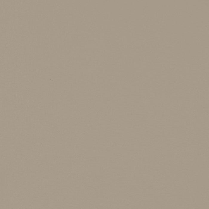 Caballo Polypropylene Dining Side Chair Tan (Set of 2)