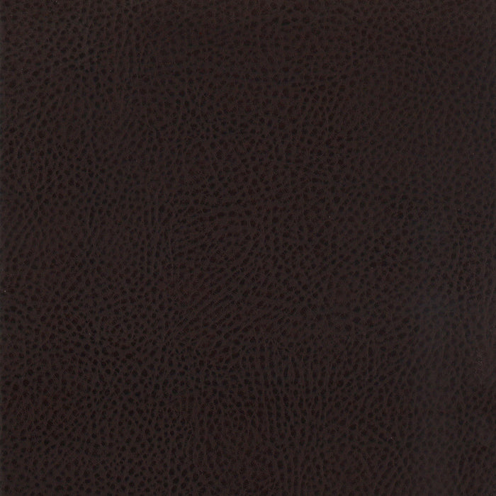 Dewey Upholstered Counter Chair Walnut (Set of 2)