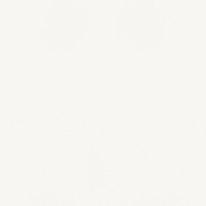 Bishop Upholstered Dining Side Chair White (Set of 2)