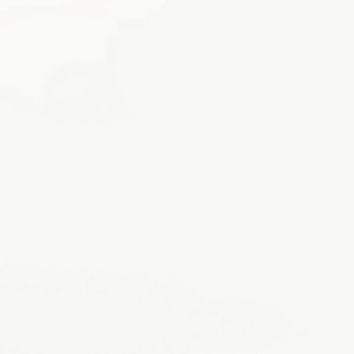 Retro Oval 60-inch Wood Top Dining Table White and Chrome