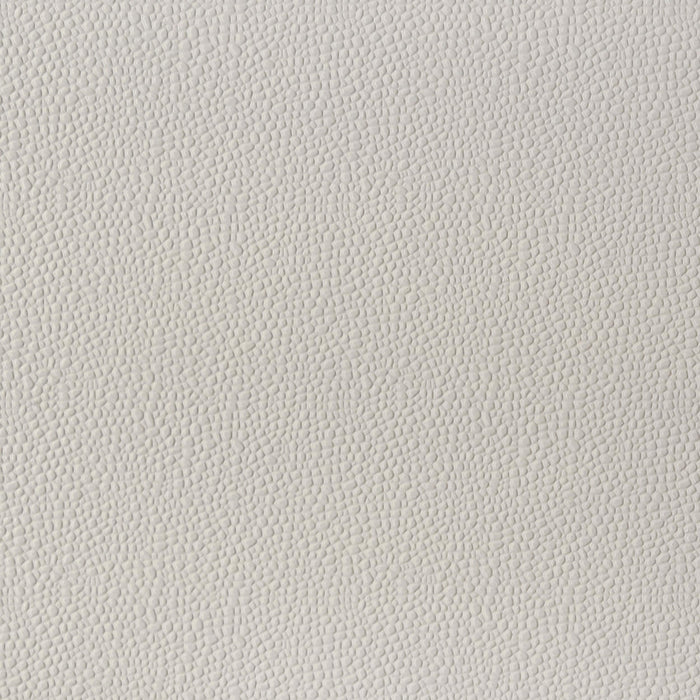 Olivia Queen Panel Bed LED Headboard Pearl White