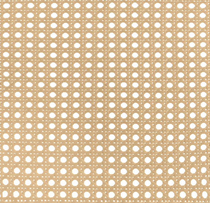 Lanewood Open Cane Webbing Metal Eastern King Bed White