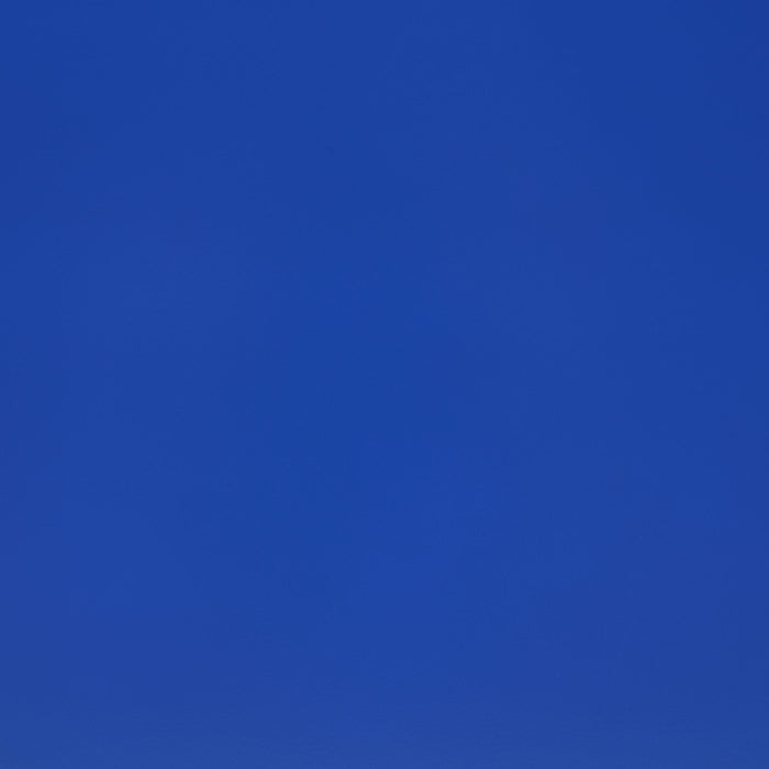 Cruiser Wood Twin LED Race Car Bed Blue