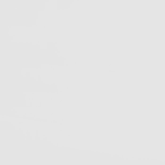 Frankie Wood Twin Over Twin Bunk Bed White and Natural