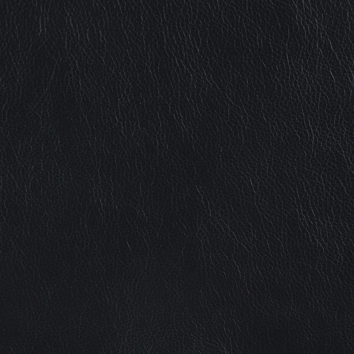 Shania Upholstered Low Back Accent Chair Black