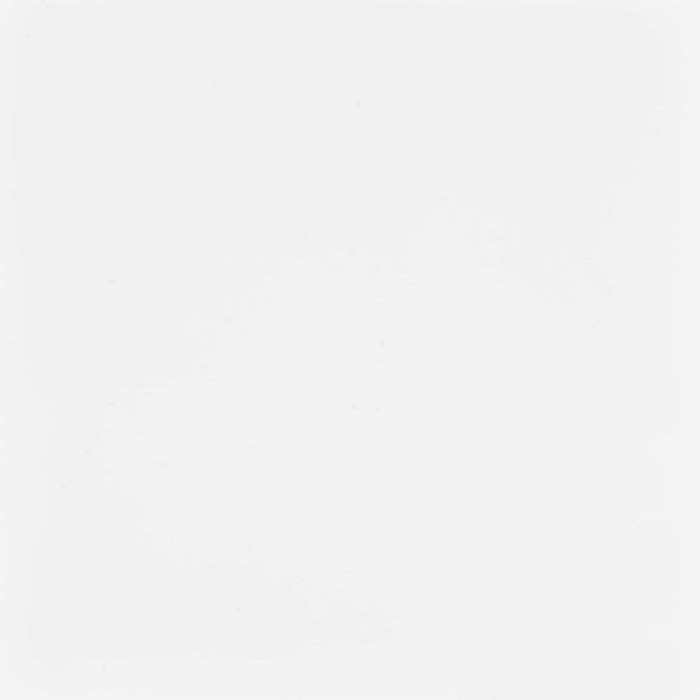 Lawtey 60-inch 2-drawer Computer Desk White High Gloss