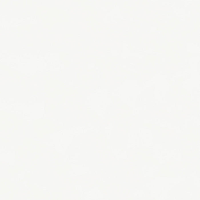 Windrose 28 x 67 Inch Tempered LED Standing Mirror White