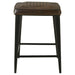 Alvaro Leather Upholstered Counter Stool Brown (Set of 2)