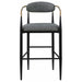 Tina Fabric Upholstered Bar Chair Dark Grey (Set of 2)