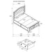 Bling Game Wood Queen Storage Panel Bed Metallic Platinum