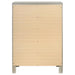 Salford 5-drawer Bedroom Chest Metallic Sterling