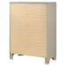 Salford 5-drawer Bedroom Chest Metallic Sterling