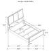 Arini 5-piece Queen Bedroom Set Cream and Sand Wash