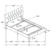 Kendall Upholstered Queen Panel Bed Black