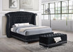 Barzini Upholstered Eastern King Wingback Bed Black