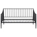 Newbury Metal Twin Daybed Bed Frame Matte Black