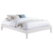 Hounslow Queen Universal Platform Bed White