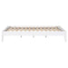 Hounslow Queen Universal Platform Bed White