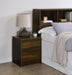 Westpark 2-drawer Nightstand LED Lights and USB Dark Pine