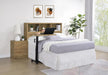 Westpark 49-inch Queen Bookcase Headboard Mango