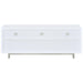 Casey 2-drawer Engineered Wood 60-inch TV Stand White