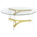 Janessa 2-piece Acrylic Coffee and End Table Set Matte Brass