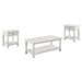 Payne 3-piece Coffee and 1-drawer End Table Set White