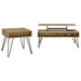 Fanning 2-piece Lift Top Coffee and End Table Set Golden Oak