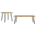 Zander 2-piece Rectangular Coffee and End Table Set Natural