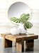 Samira Square Solid Wood Coffee Table Natural Sheesham