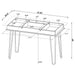 Sheeran 47-inch Writing Desk with Storage Rustic Amber
