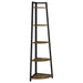 Jacksonville 63-inch 5-shelf Bookshelf Black and Aged Walnut