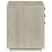 Loomis 3-drawer Home Office File Cabinet Whitewashed Grey