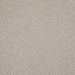 Valdez Boucle Upholstered Barrel Back Accent Chair Beige