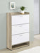Denia 3-tier Engineered Wood Shoe Cabinet White