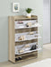 Denia 3-tier Engineered Wood Shoe Cabinet White