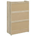 Denia 3-tier Engineered Wood Shoe Cabinet Grey