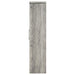 Alejo 2-door Engineered Wood Tall Cabinet Grey Driftwood