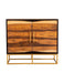Zara 2-door 40-inch Wood Accent Storage Cabinet Black Walnut