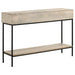 Rubeus 2-drawer Wood Entryway Console Table White Washed