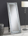 Carisi 22 x 61 Inch Faux Crystal LED Standing Mirror Silver_x000D_
